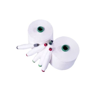 3.8 Neps 100% poliestere Ne 24/1 Siro Spun Filati per tessitura / maglieria