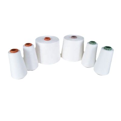 Poliestere/bamboo 50/50 65/35 80/20 Ne35/1 Filati a torsione per maglieria o tessitura 780